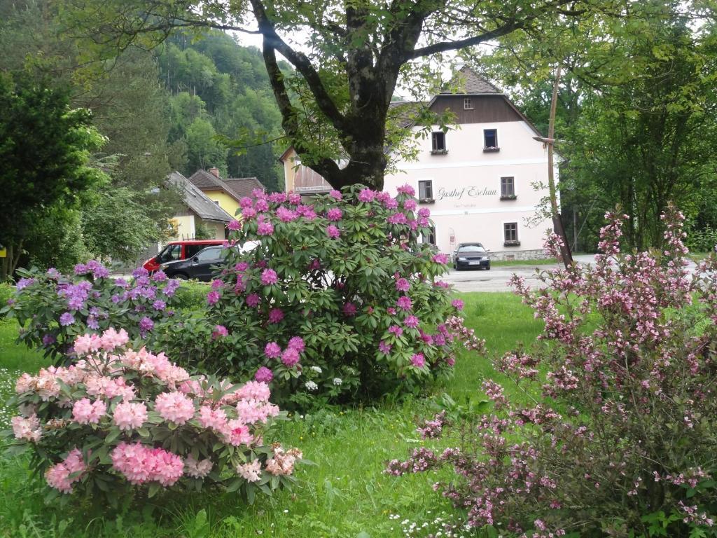 Gasthof Eschau Palfau Exteriér fotografie